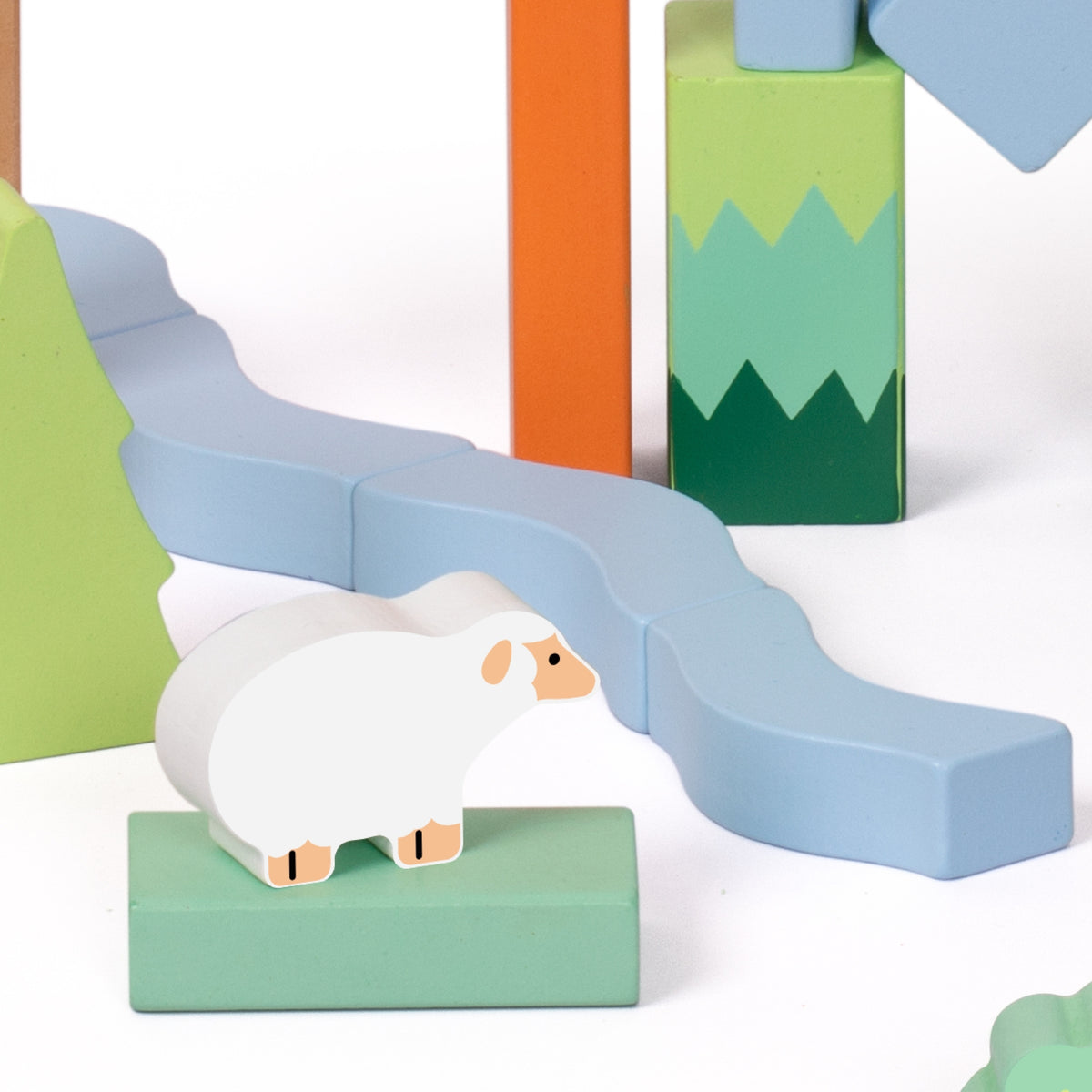 Colourful wooden block shapes in the storage box