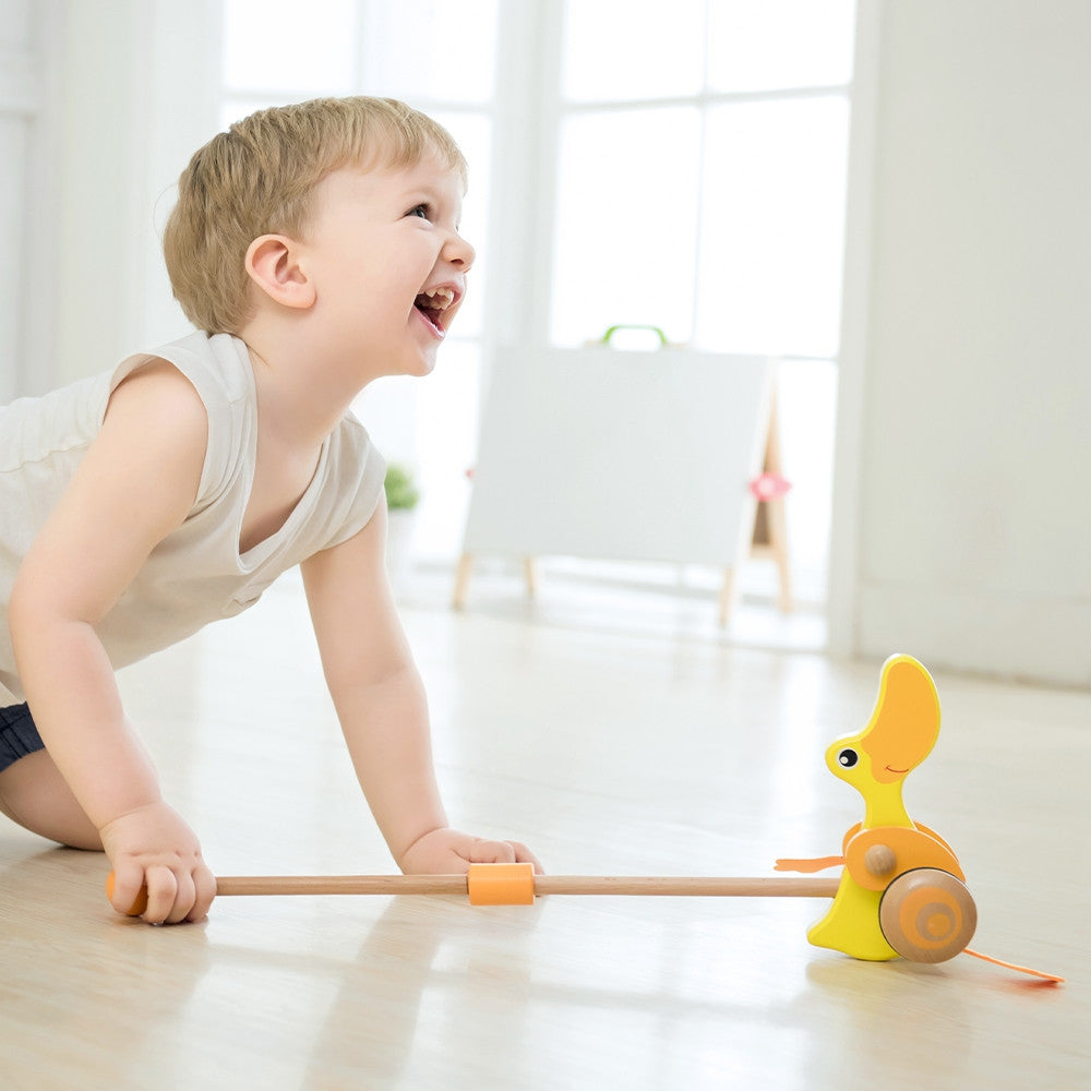 Toddler walking with the Classic World duck push toy