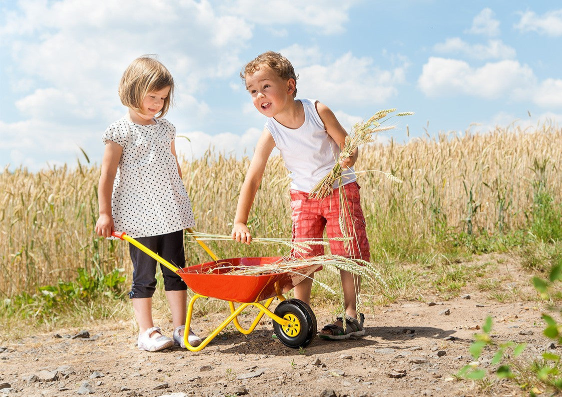 Child pushing the red wheelbarrow in the garden