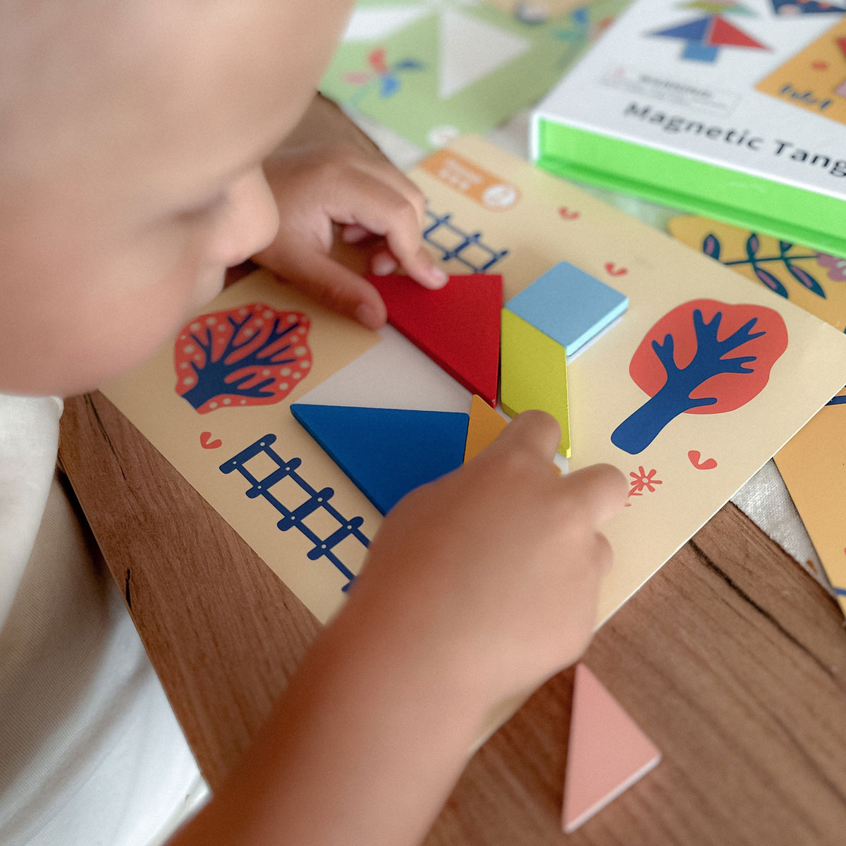 Formu puzle bērniem no 3 gadiem – Tooky Toy
