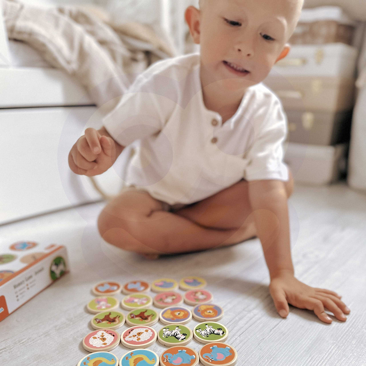 Viga animal memory game – animal tokens face up