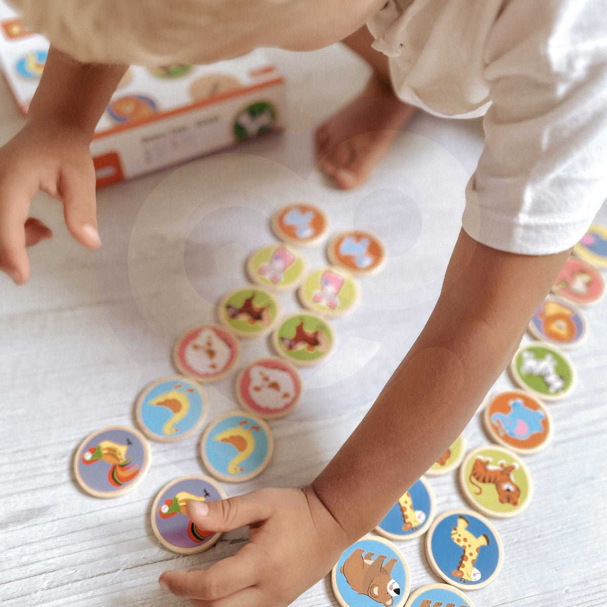 Viga animal memory game – matching pairs found