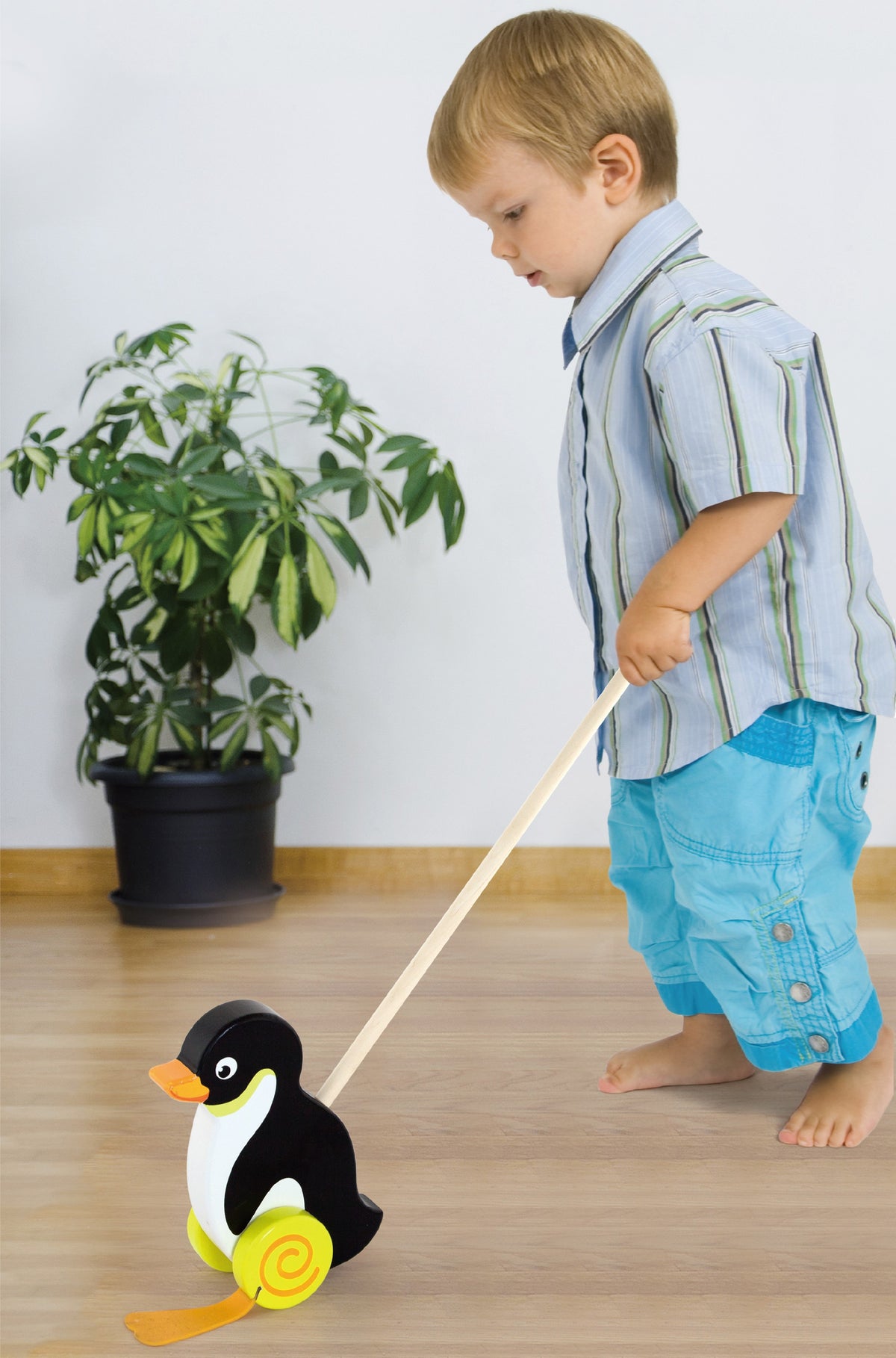 Penguin push-along toy in a gift box with window