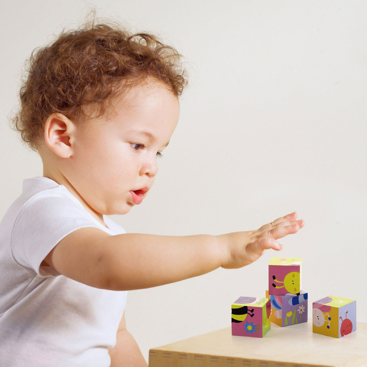 Viga farm cube puzzle in its wooden tray