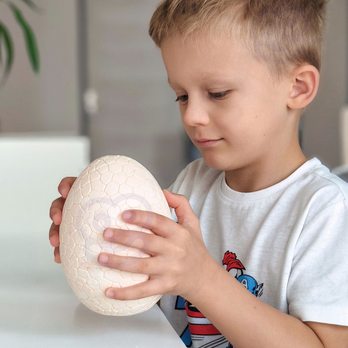 Hammer, chisel and brush for the dinosaur dig