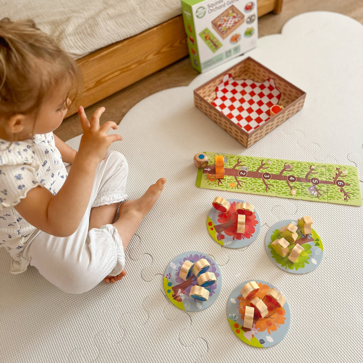Squirrel board game – picture die with fruit and squirrel