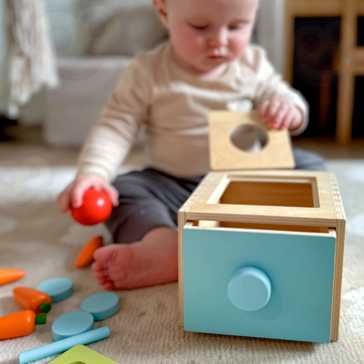 Montessori drawer sorter – wooden coins, carrots and coloured sticks