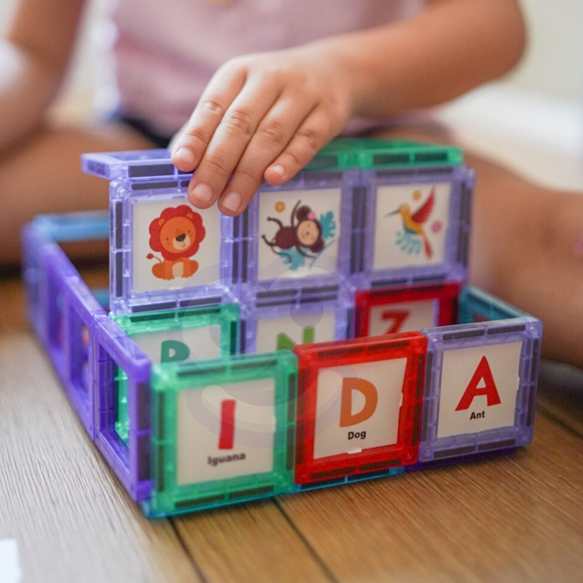 Woopie magnetic tiles with cards – animal cards