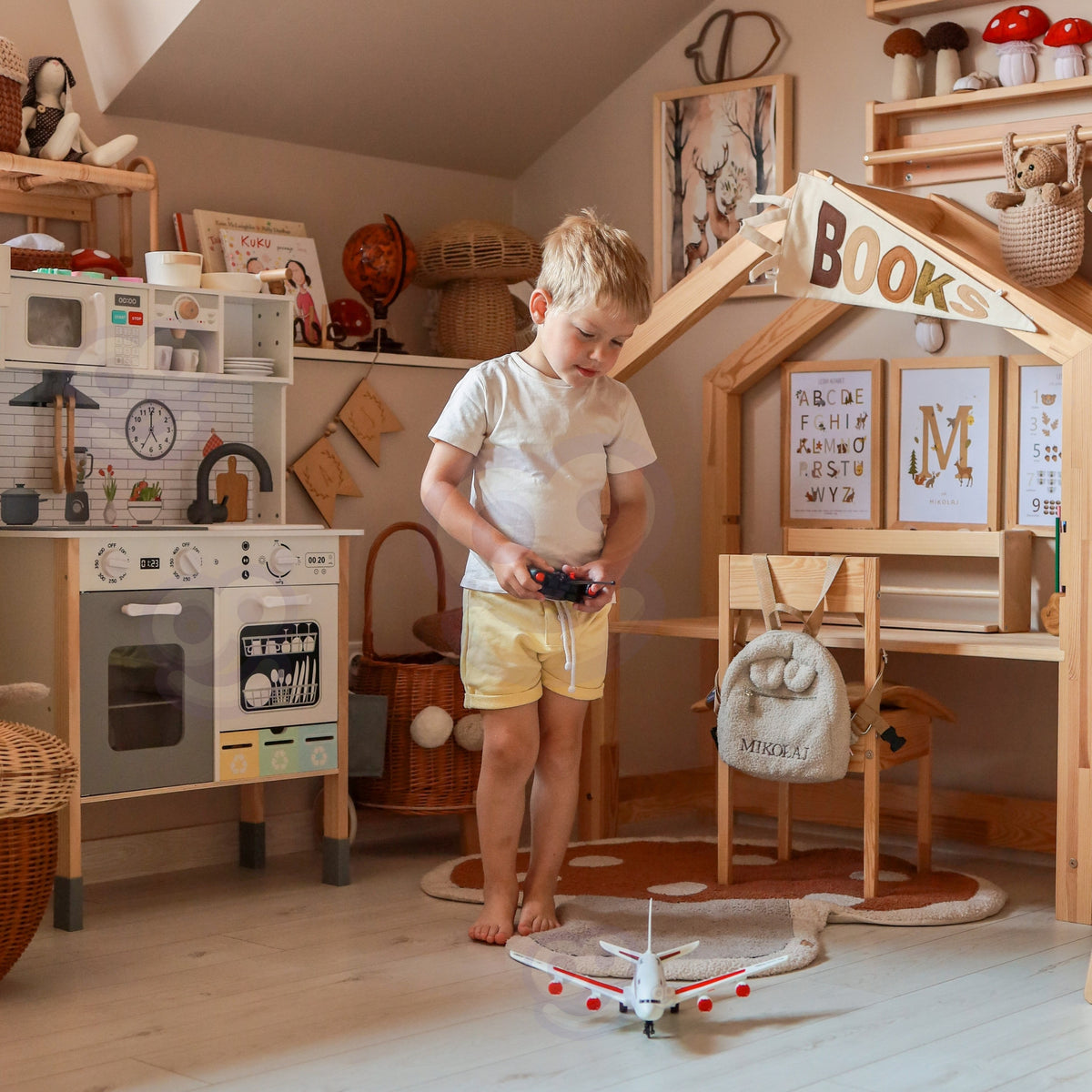 Remote control for the toy passenger plane