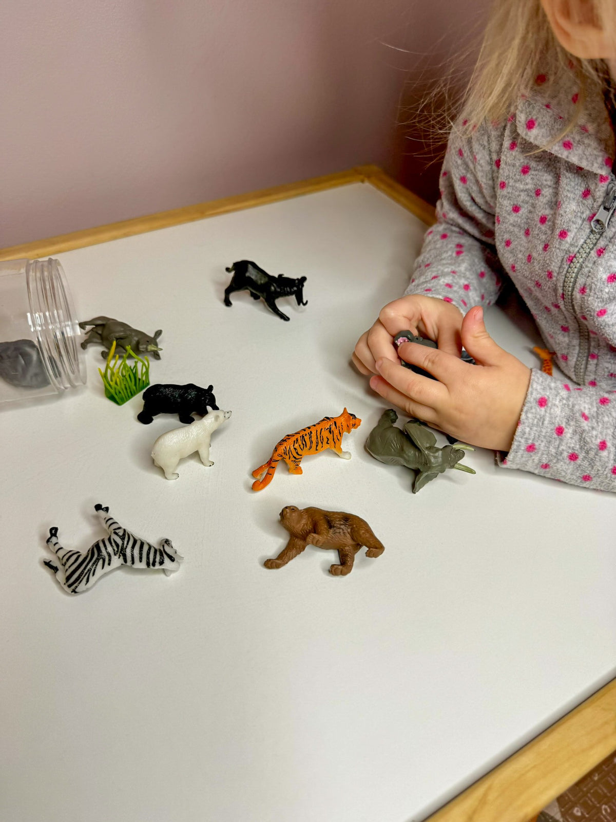 Safari scene with wild animals, grass and rocks